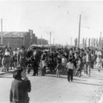 H007